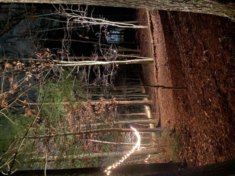 0596D82E-A509-450D-889B-FFCB1D96ED29.jpeg